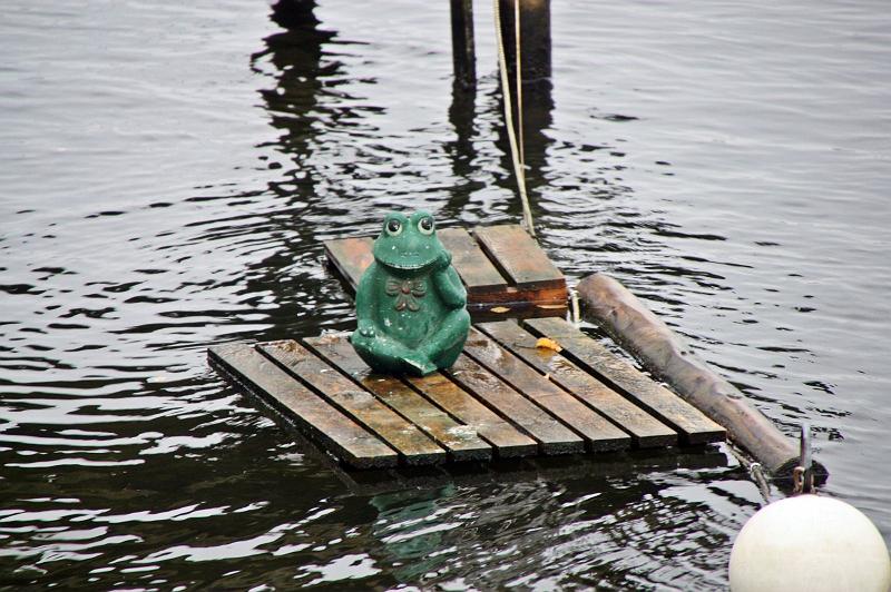 1. Qashqaicup-293.jpg